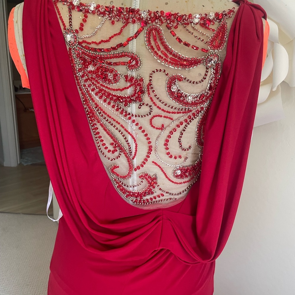 Brand new Terani dress from Nordstrom. See pics for detail